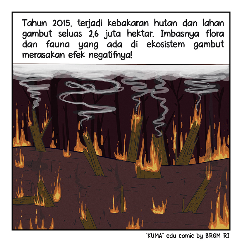 Image 1-10
